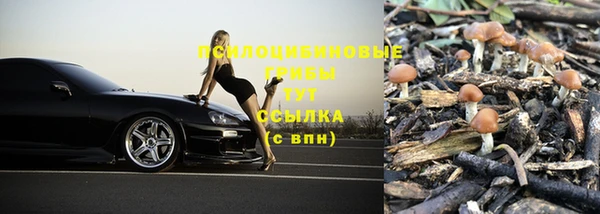 мескалин Бородино