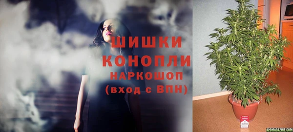 амф Бронницы