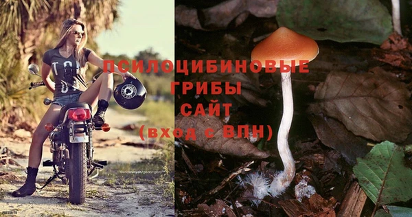 амф Бронницы