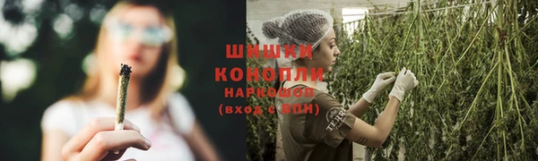 мескалин Бородино