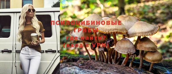 амф Бронницы