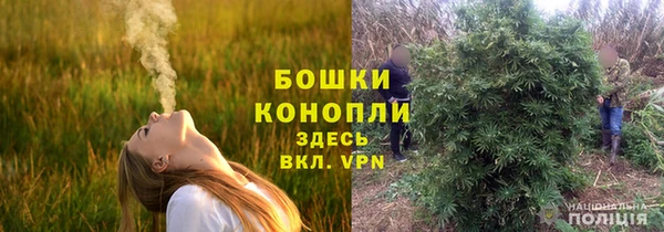 амф Бронницы