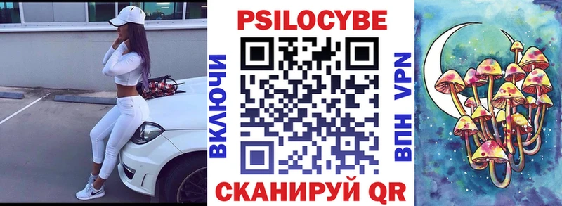 купить наркоту  Шагонар  Псилоцибиновые грибы ЛСД 